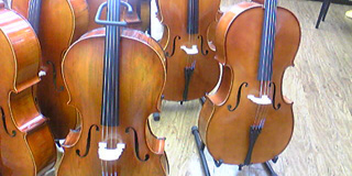 激安通販 shop.jpg 弦楽器